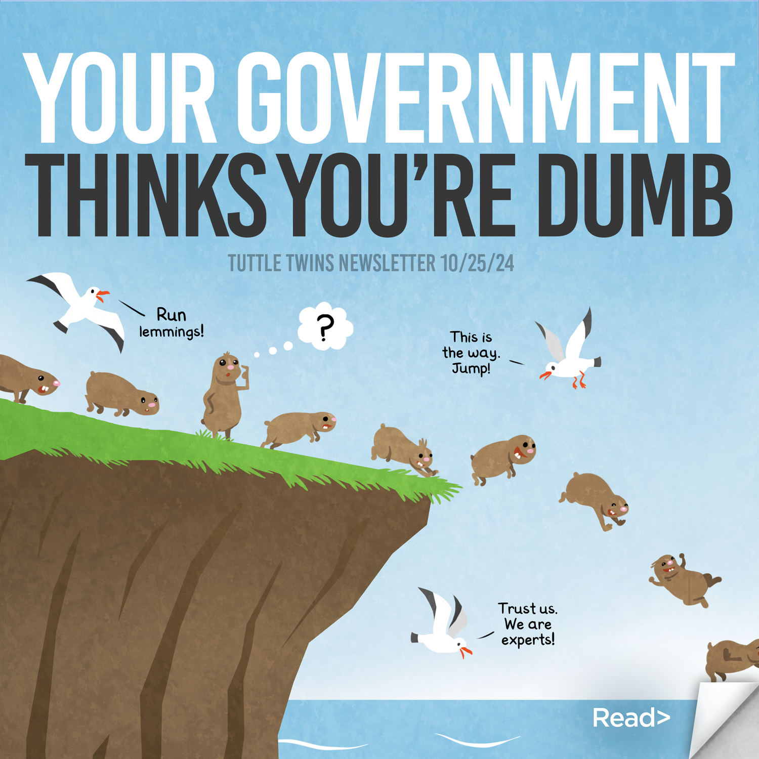 Your government thinks you’re dumb.