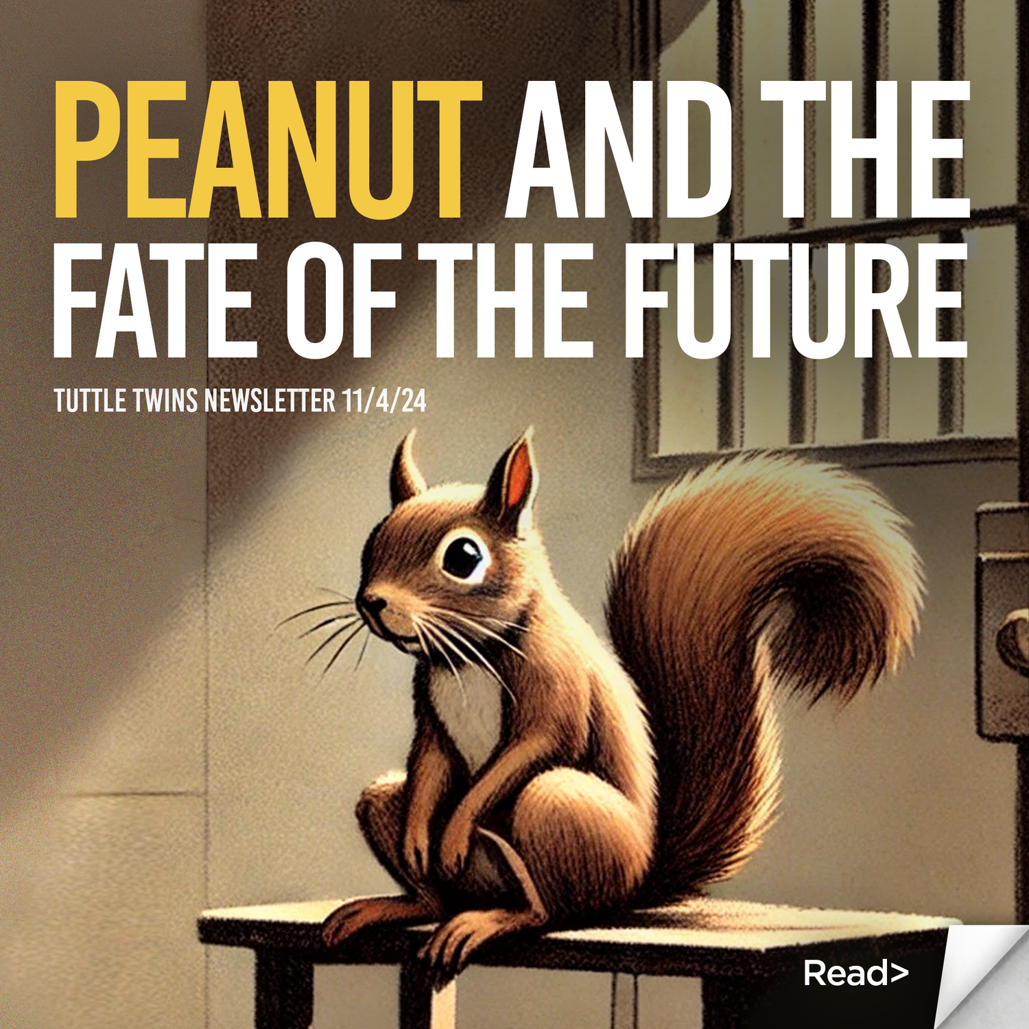 It’s Not About the Squirrel; It’s About the State