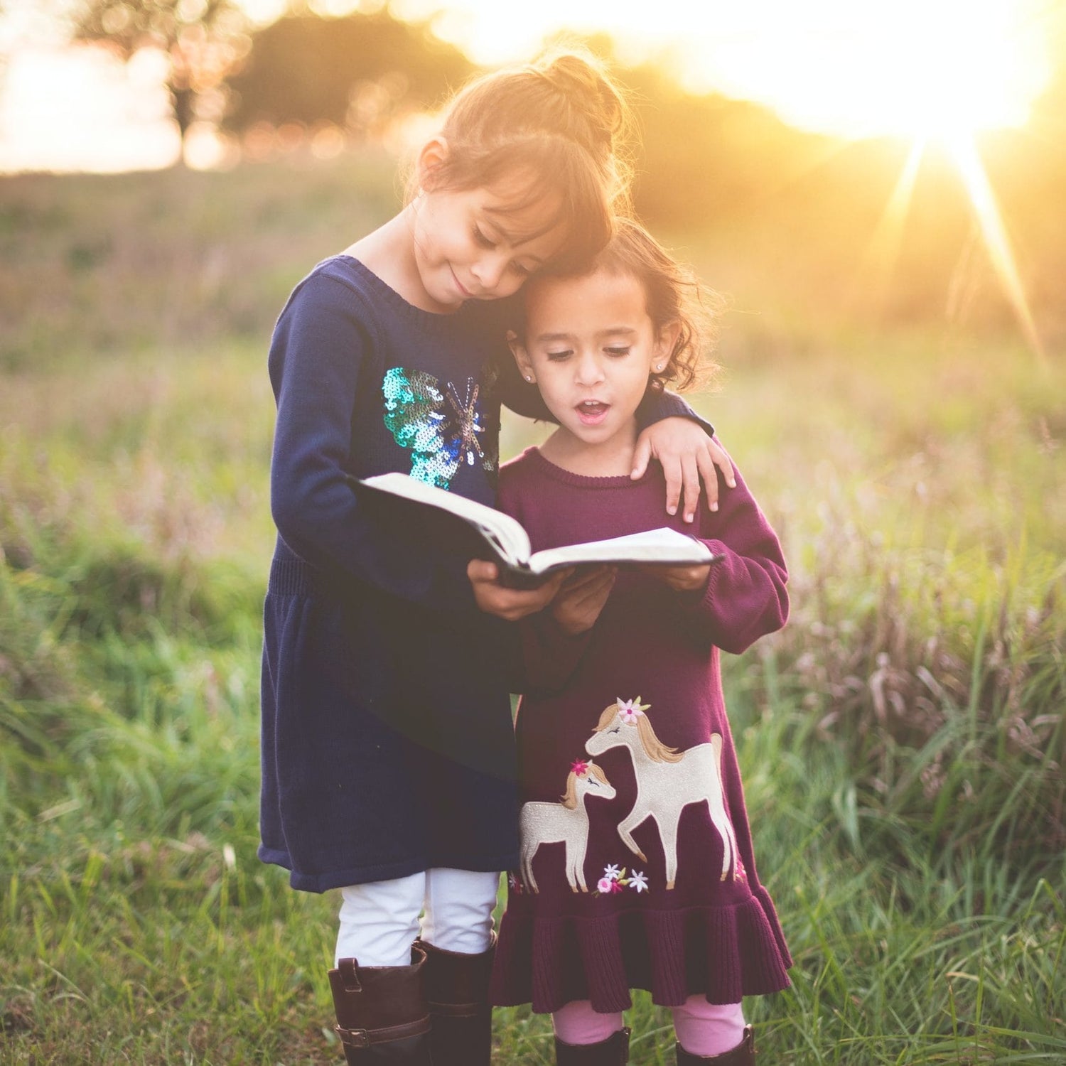 Homeschooling 101: Tips and Strategies for Providing a Personalized Education at Home