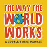 61. How Does The Electoral College Work?