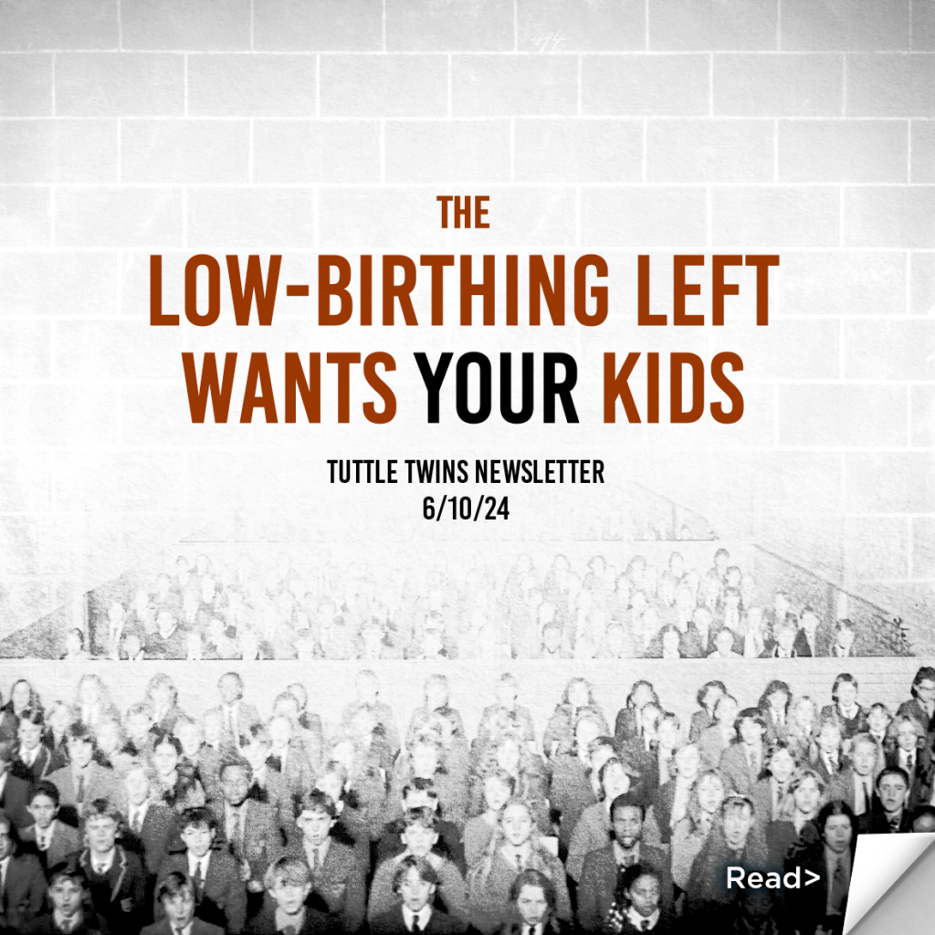 the low-birthing left wants your kids